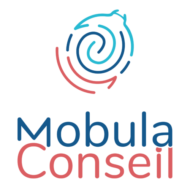 Mobula Conseil 