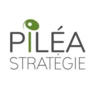 PILÉA STRATÉGIE 