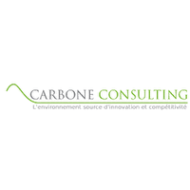 CARBONE CONSULTING 