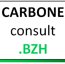 Carbone consult 