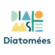 Diatomées 