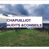 CHAPUILLIOT AUDITS & CONSEILS 