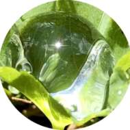 CILAD Transition 